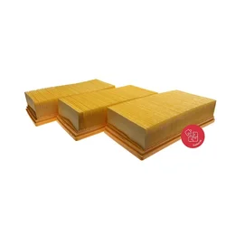 VACS Hepa filter KÄRCHER NT 65/2 Eco - 3 kom