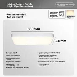 Paulmann Plafonska lampa