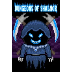 Dungeons of Shalnor PC/XBOX LIVE Key EUROPE