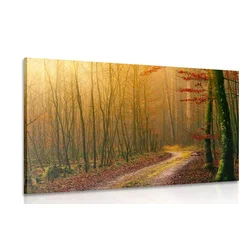 Slika potka v gozd - 60x40