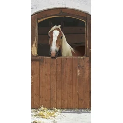KOMAR Foto tapet 2-1202, 97x220cm