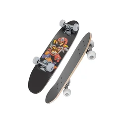 VENERA BIKE Skateboard SHC-04 SENHAI VELICINA 24X6 2016 sivi