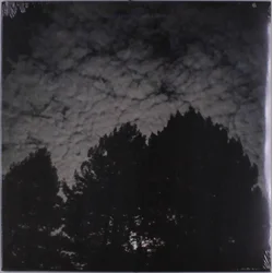 Carlton Melton - Night Pillers (Limited Edition) (White Coloured) (EP)