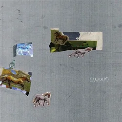 Fazed On A Pony - Swan (LP)
