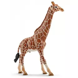 SCHLEICH Wild Life: Žirafa, samec