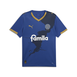 PUMA Holstein Kiel 25/26 Home Jersey Men, Sport, Clyde Royal/Gold, M