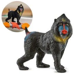 Schleich Schleich Wild Life - Opica Mandril, figurica za otroke 3+