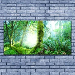 tulup.si Slika na platnu Forest moss narava 140x70 cm