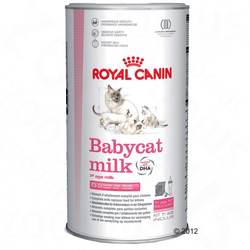 Royal Canin Mleko za mucke - 600 g (6 x 100 g )