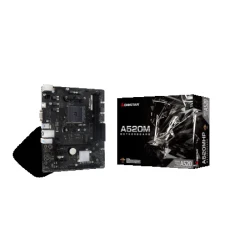 Biostar A520MHP