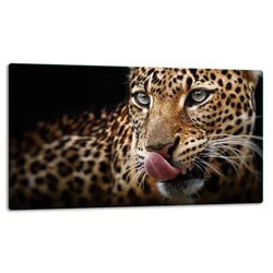 shumee Rezalna ploa steklene ploe 52x30 Tiger