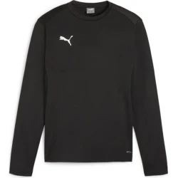 Mikica Puma teamGOAL Training Sweatshirt