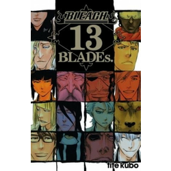Bleach Data book - 13th Blades