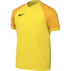 Nike Dres Dri-FIT Trophy VI Kids