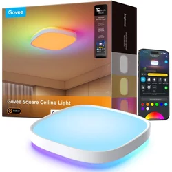Govee - LED RGBICWW prigušiva stropna svetiljka LED/29W/230V O 30 cm mat Wi-Fi