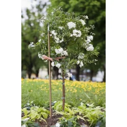 Windhager A!ipka 180cm plastiÄ?na ( WH 05747 )