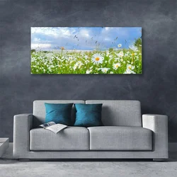 tulup.si Slika na platnu Daisy travnik narava 120x60 cm