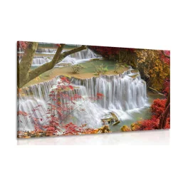 Slika gozdni slap - 40x30