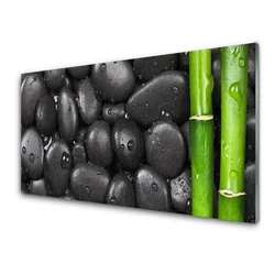 tulup.si Slika na steklu Stem bamboo spa 125x50 cm 4 obešalnika