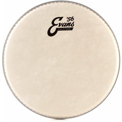 Evans 10 Calftone Tom