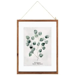 shumee Lesen okvir za plakat z evkaliptusom 38x48