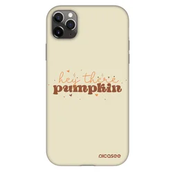 Fashion Case za Apple iPhone 11 Pro Max - Hey there pumpkin