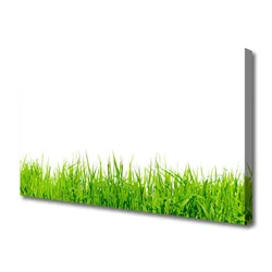 tulup.si Slika na platnu Grass nature rastlin 125x50 cm