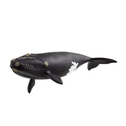 Schleich Žival - Severni atlantski kit