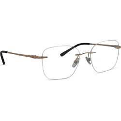 Ray-Ban RX8783D 1248