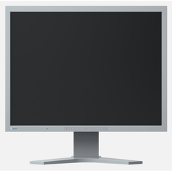 Eizo FlexScan S2133-GY