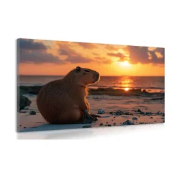 Slika kapibara ob sončnem zahodu - 40x30