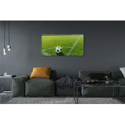 tulup.si Slika na platnu Nogometni stadion trava 140x70 cm