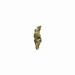 Various Artists - Plangent Compilation Vol. 1 (2 LP)