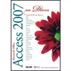 Access 2007 na dlanu, Steve Johnson