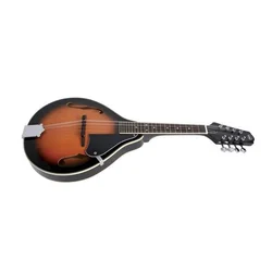 TENNESSE MANDOLINA A1 F-holes with case