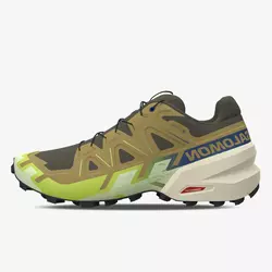 Salomon Speedcross 6 GTX
