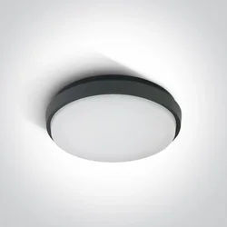 Theia-R LED 30W 3000K 2500lm, IP54, antracit