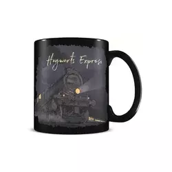 Šolja Pyramid - Harry Potter - Glimmer of Hope - Heat Change Mug 320ml