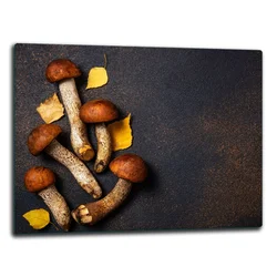 shumee Steklena deska 52x40 gob