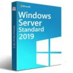 Microsoft Windows Server Standard 2019 64Bit English AE DVD 5 Clt 16 Core License, P73-07678