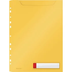 Mapa pvc u s perforacijo maxi leitz cosy a4 1/3