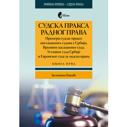 Sudska praksa radnog prava - Primeri sudske prakse