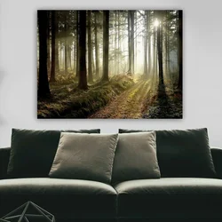WallXpert slika na platnu 24912262_70100, sunčevi zraci kroz maglovitu šumu, 70 x 100 cm
