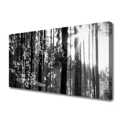 tulup.si Slika na platnu Narava gozdnega drevja 140x70 cm
