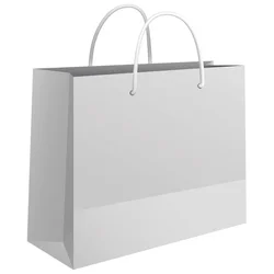 VREĆICE UKRASNE 50X37X12CM SJAJNA PLASTIFIKACIJA FORNAX BIJELE