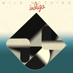 Wild Nothing - Indigo (LP)