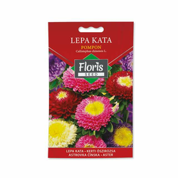FLORIS Seme za cveće Lepa Kata Pompon 0.5g