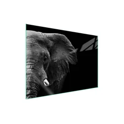 shumee Steklena zaščitna plošča za štedilnik 70x52 Elephant