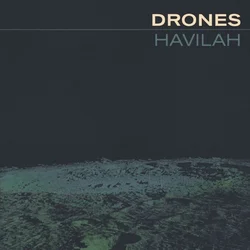 The Drones - Havilah (Limited Edition) (2 LP)