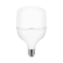 Braytron LED sijalica BRY-ADVANCE-40W-E27-T120-PLS-6500K